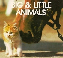 Big & Little Animals