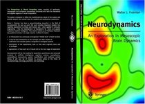 Neurodynamics: An Exploration in Mesoscopic Brain Dynamics (Perspectives in Neural Computing)
