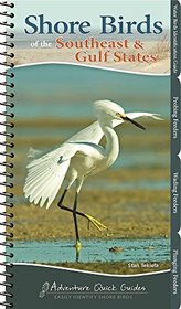 Shore Birds of the Southeast & Gulf States (Adventure Quick Guides)