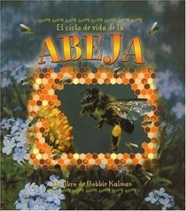El Ciclo De Vida De La Abeja ? The Life Cycle of the Honeybee (Ciclo De Vida/the Life Cycle)