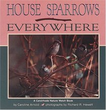 House Sparrows Everywhere (Nature Watch)
