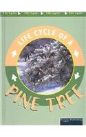 Pine Tree (Life Cycles.)
