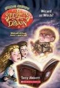 Wizard or Witch (Secrets of Droon Special Edition)