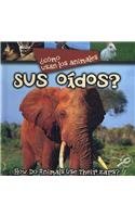 Como Usan Los Animales Sus Oidos?/ How Do Animals Use Their Ears? (Como Usan Los Animales/ How Do Animals Use) (Spanish Edition)