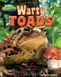 Warty Toads (Amphibiana)