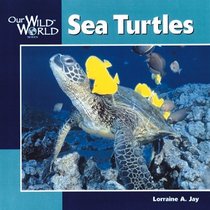 Sea Turtles (Our Wild World)