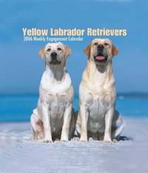 Yellow Labrador Retrievers 2007 Weekly Calendar