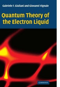 Quantum Theory of the Electron Liquid