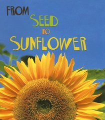 From Seed to Sunflower (How Living Things Grow)