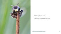 The World Is Great, and I Am Small: A Bug's Prayer for Mindfulness