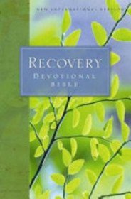 NIV Recovery Bible (Bible Niv)