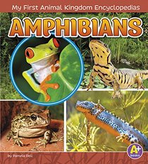Amphibians (My First Animal Kingdom Encyclopedias)