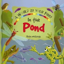 In The Pond: A World-at-Your-Feet Book (A World at Your Feet)