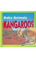 Kangaroos (Baby Animals)