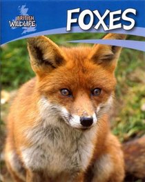 Foxes (British Wildlife)