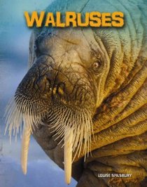 Walruses (Heinemann Infosearch)