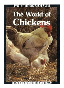 The world of chickens (Where animals live)