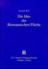 Die Idee der Riemannschen Flche.