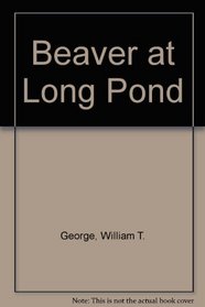 Beaver at Long Pond