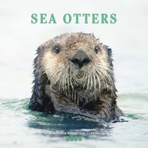 Sea Otters 2008 Square Wall Calendar