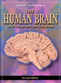 The Human Brain: in Photographs and Diagrams