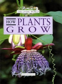 How Plants Grow (Living World S.)