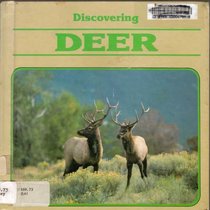 Discovering Deer (Discovering Nature)