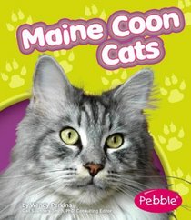 Maine Coon Cats (Pebble Books)