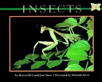 Insects (Mondo Animals)