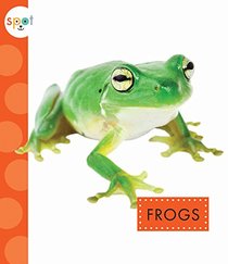 Frogs (Spot)