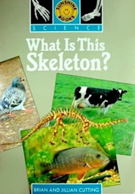 What Is This Skeleton?