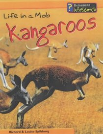 Life in a Mob of Kangaroos (Animal Groups)
