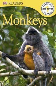 DK Readers: Monkeys