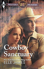 Cowboy Sanctuary (Western Promises Shipment 1, Bk 1)