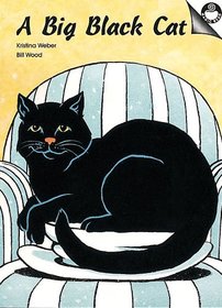 A Big Black Cat (Guided Reading Fiction)