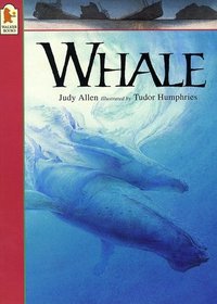 Animals at Risk: Whale (Animals at Risk)