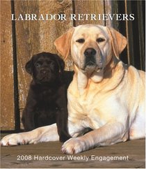 Labrador Retrievers 2008 Hardcover Weekly Engagement Calendar (German, French, Spanish and English Edition)