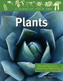Plants: Flowering Plants, Ferns, Mosses, and Other Plants (A Class of Their Own)