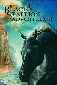 Black Stallion Adventures!