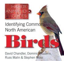 Identifying Common North American Birds (Handy Petcare Guides)