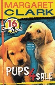 Pups 4 Sale Aussie Angels 16