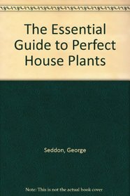 The Essential Guide to Perfect House Plants