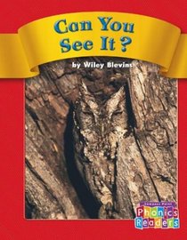Can You See It?: Set A (Phonic Readers)