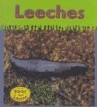 Leeches (Heinemann Read and Learn)