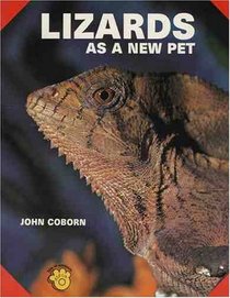 Lizards As a New Pet