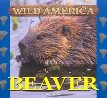 Wild America - Beaver (Wild America)