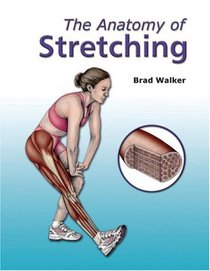 The Anatomy of Stretching