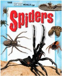 The Secret World Of: Spiders (The Secret World of)