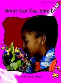What Can You Smell?: Emergent (Red Rocket Readers: Non-fiction Set B)