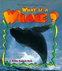 What Is a Whale? (The Science of Living Things)